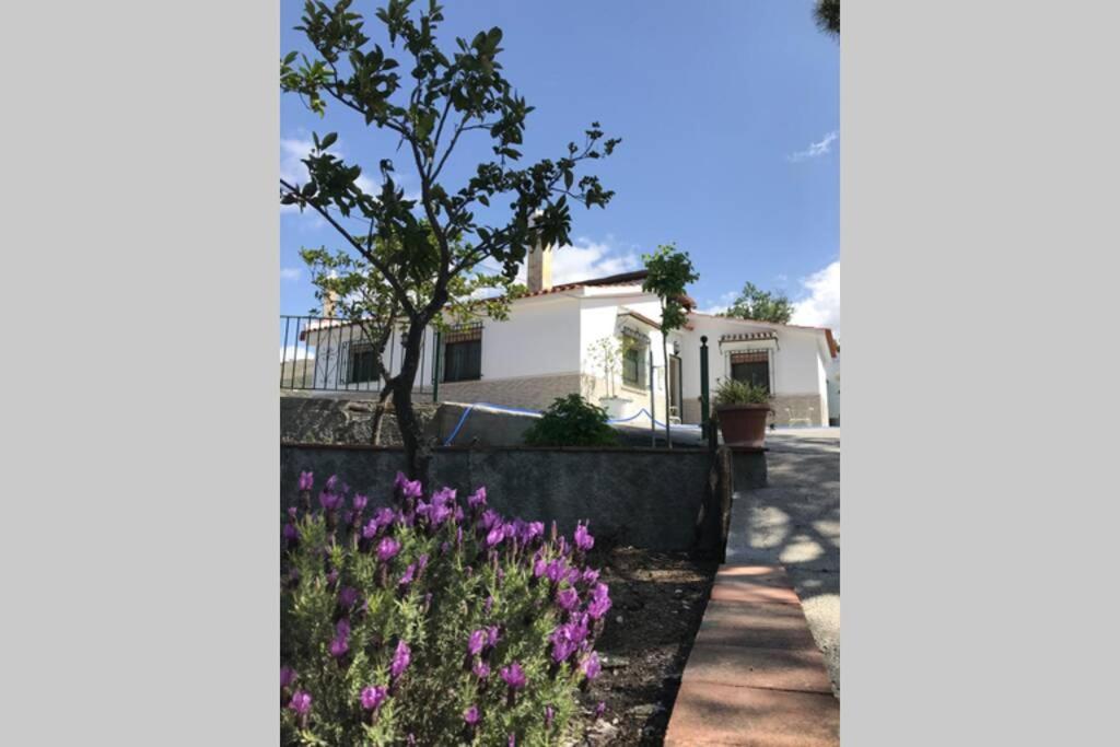 Casa Dimas Villa Cómpeta Exterior foto